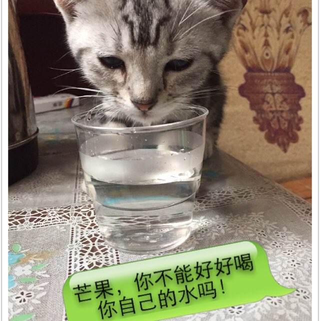 无锡不动产权证号是看哪里